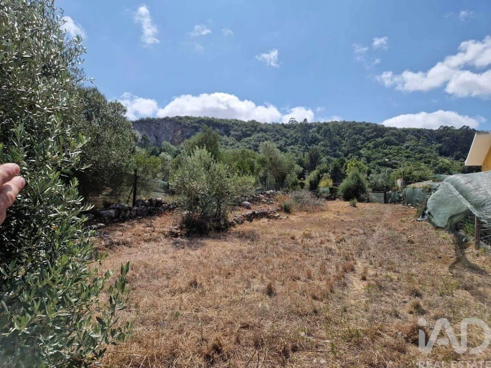 Terreno para Venda em Porto de Mós - São João Baptista e São Pedro Foto 21