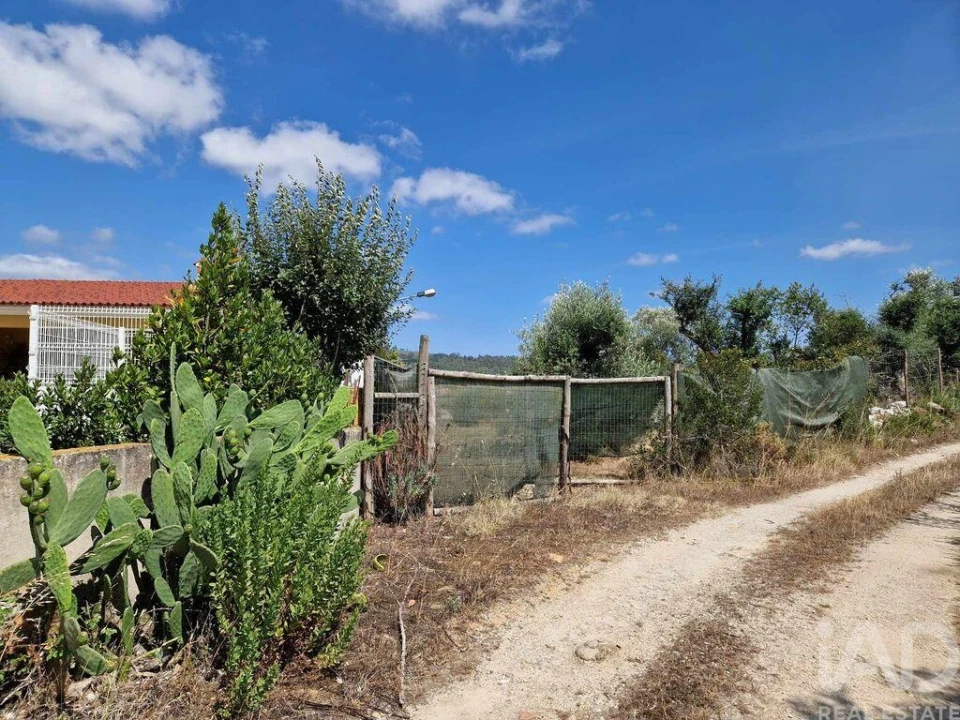 Terreno para Venda em Porto de Mós - São João Baptista e São Pedro Foto 19