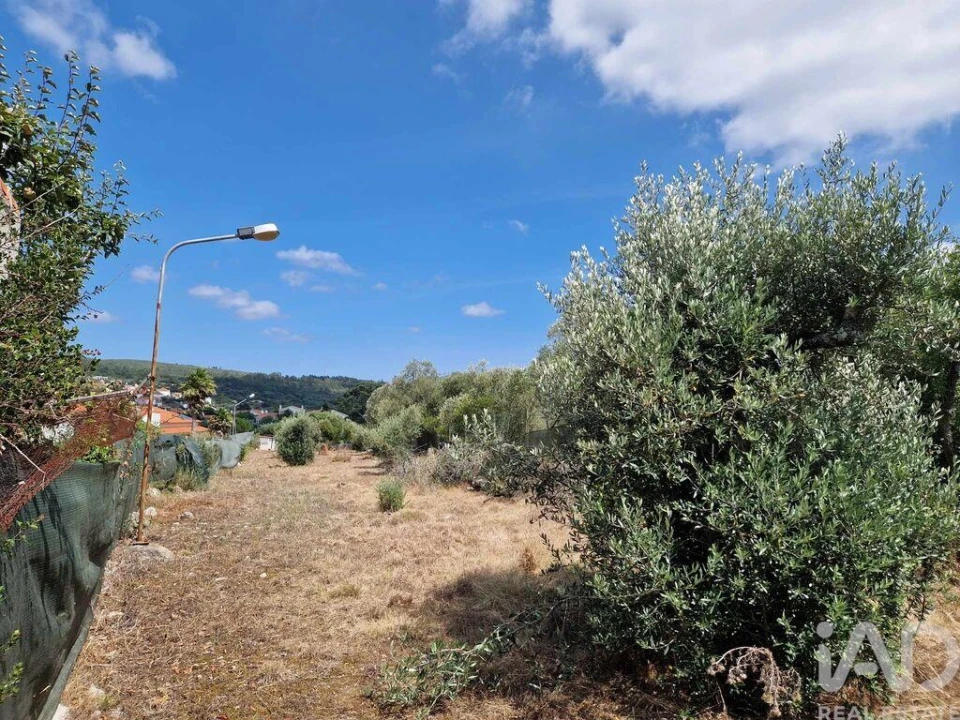 Terreno para Venda em Porto de Mós - São João Baptista e São Pedro Foto 20