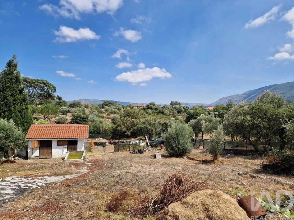 Terreno para Venda em Porto de Mós - São João Baptista e São Pedro Foto 17