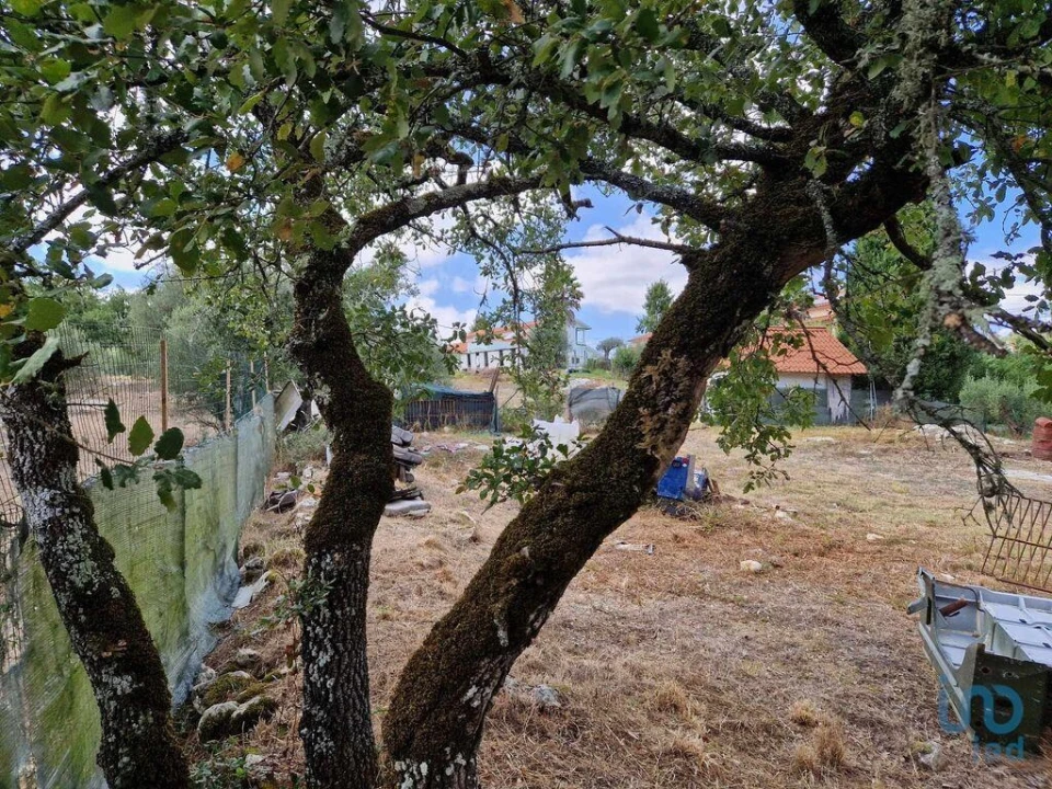 Terreno para Venda em Porto de Mós - São João Baptista e São Pedro Foto 10