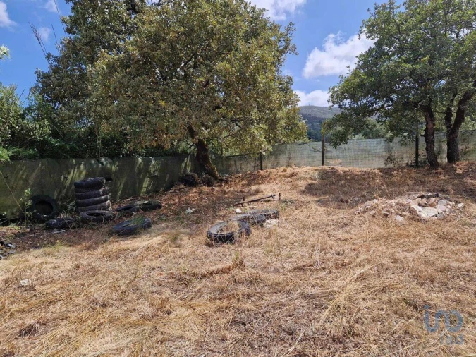 Terreno para Venda em Porto de Mós - São João Baptista e São Pedro Foto 12