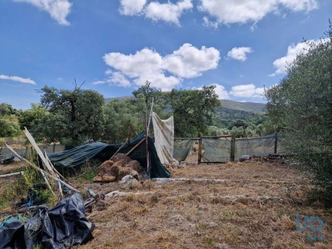 Terreno para Venda em Porto de Mós - São João Baptista e São Pedro Foto 15