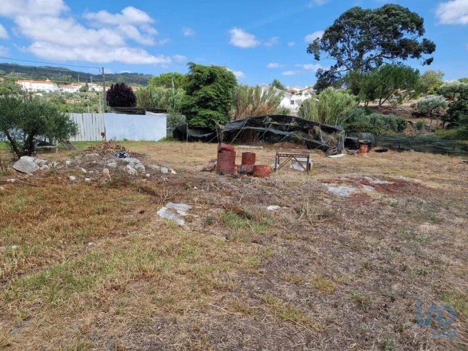 Terreno para Venda em Porto de Mós - São João Baptista e São Pedro Foto 14