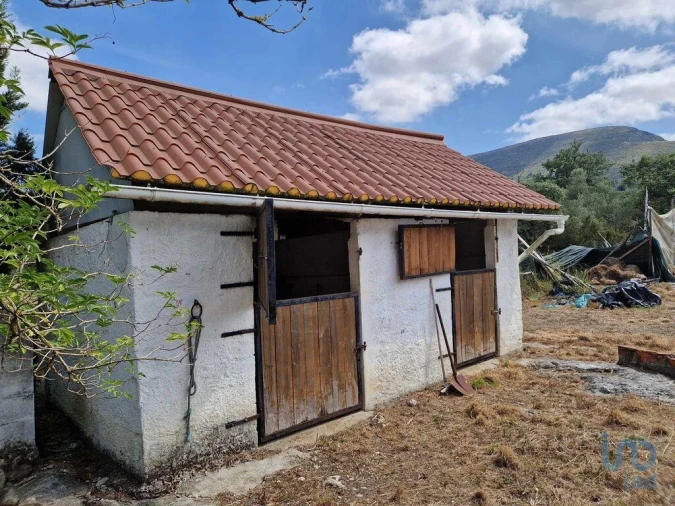 Terreno para Venda em Porto de Mós - São João Baptista e São Pedro Foto 6