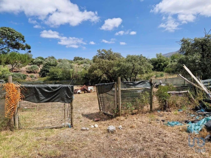 Terreno para Venda em Porto de Mós - São João Baptista e São Pedro Foto 5