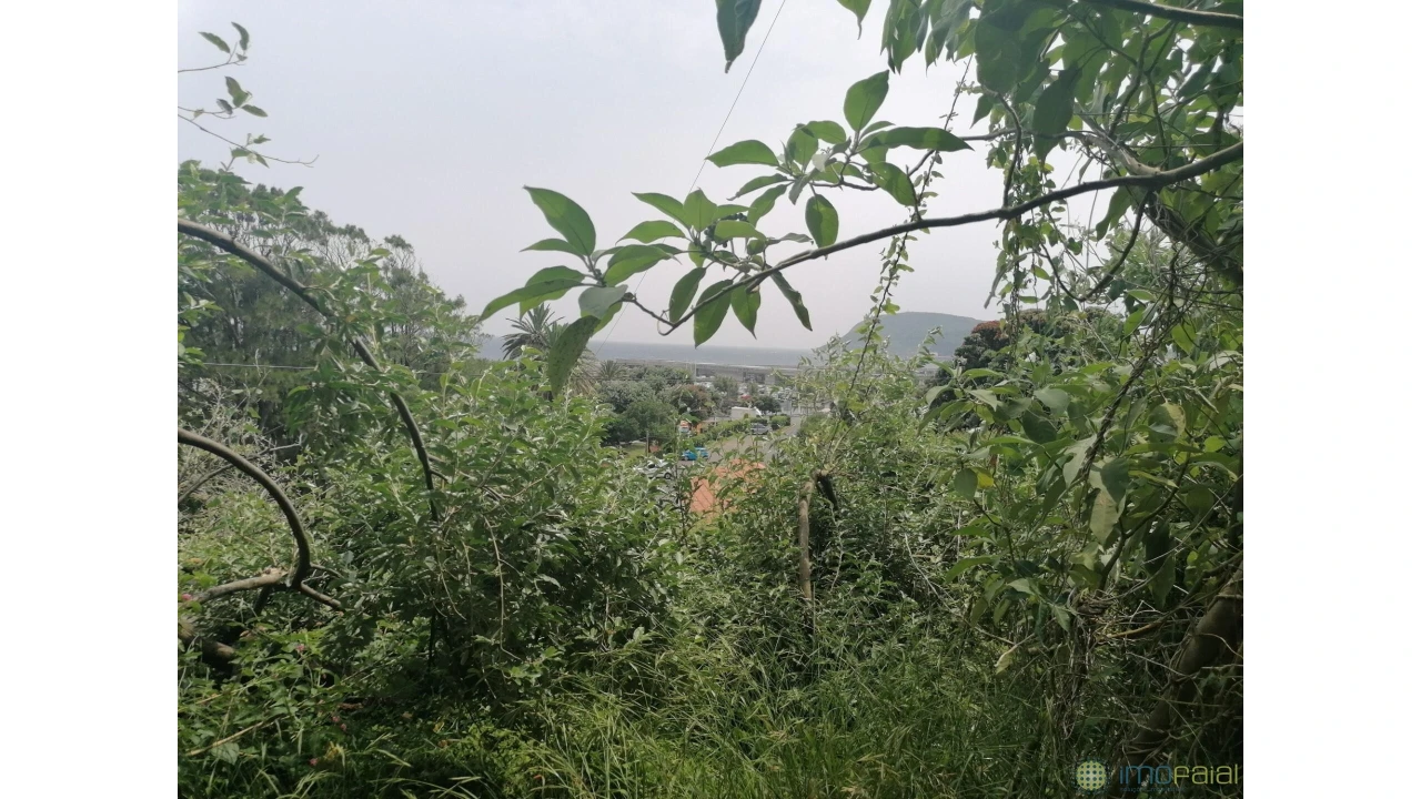 Terreno para Venda em Horta (Conceição) Foto 9
