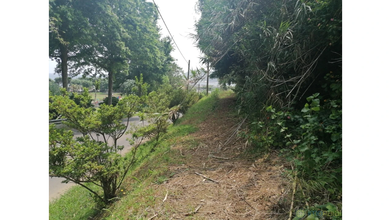 Terreno para Venda em Horta (Conceição) Foto 6