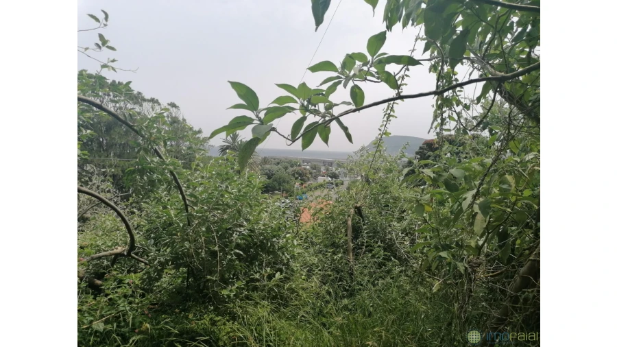 Terreno para Venda em Horta (Conceição) Foto 9