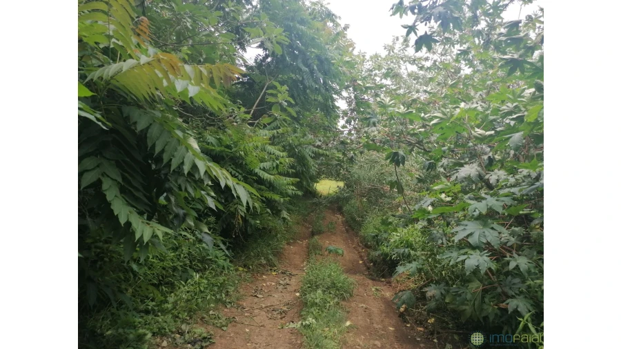 Terreno para Venda em Horta (Conceição) Foto 8