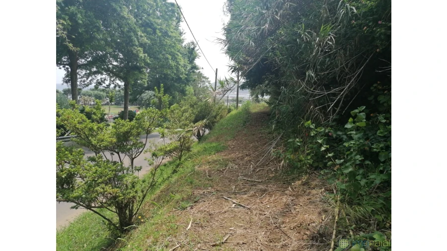 Terreno para Venda em Horta (Conceição) Foto 6