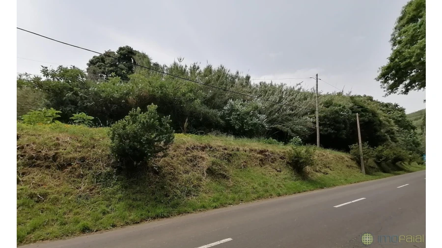 Terreno para Venda em Horta (Conceição) Foto 4