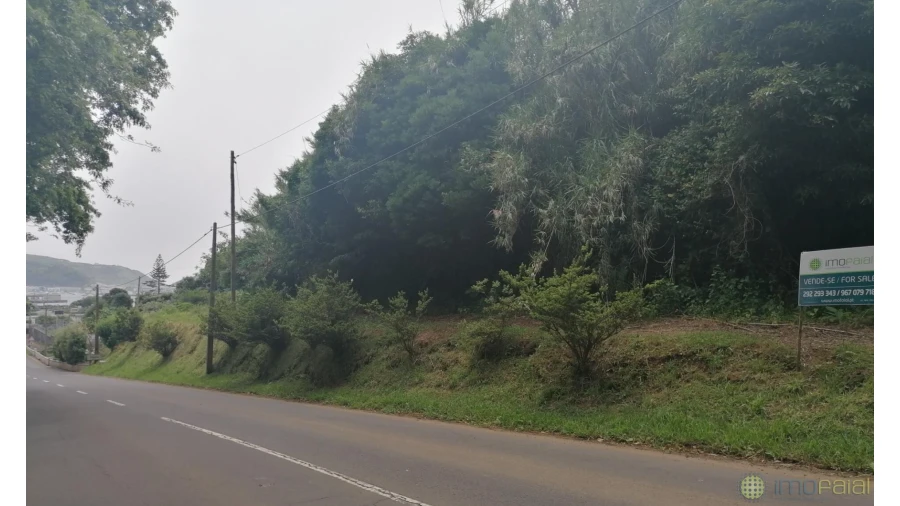 Terreno para Venda em Horta (Conceição) Foto 14