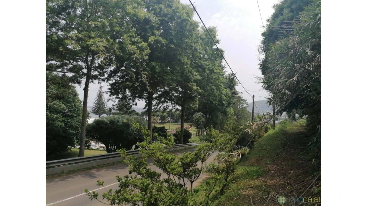 Terreno para Venda em Horta (Conceição) Foto 5