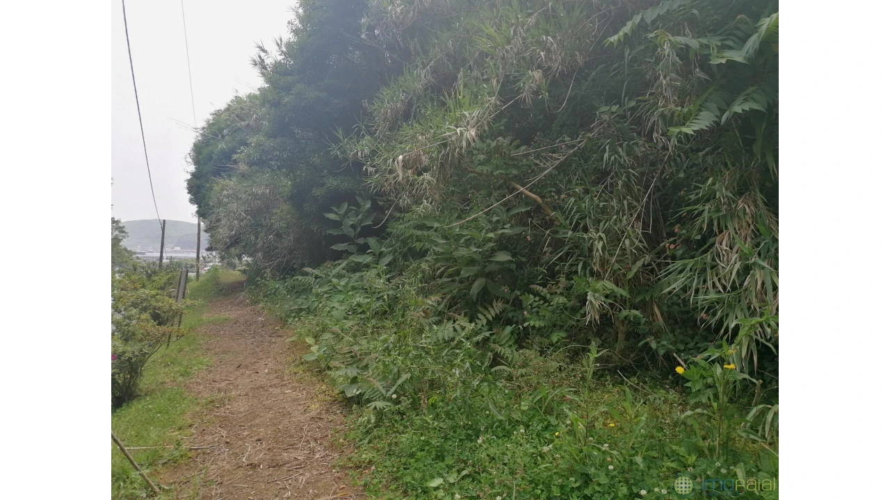 Terreno para Venda em Horta (Conceição) Foto 7