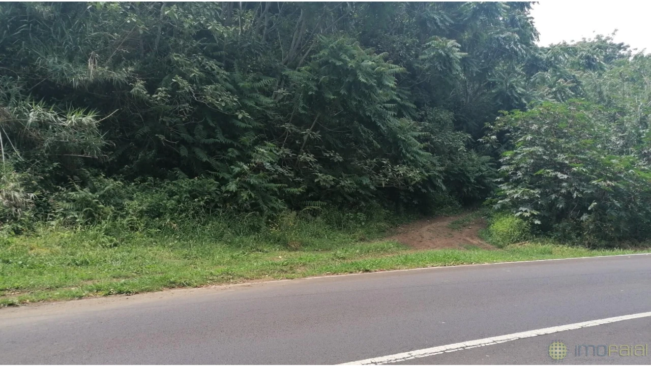 Terreno para Venda em Horta (Conceição) Foto 3