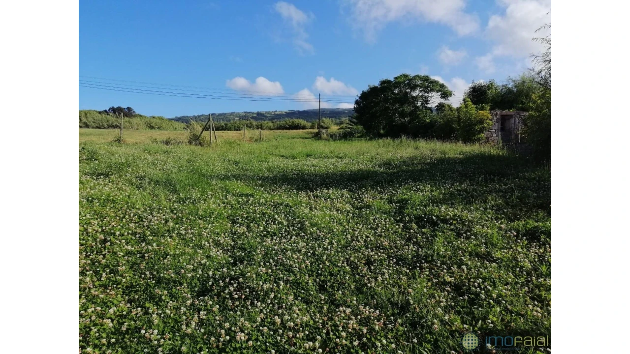 Terreno para Venda em Cedros Foto 2