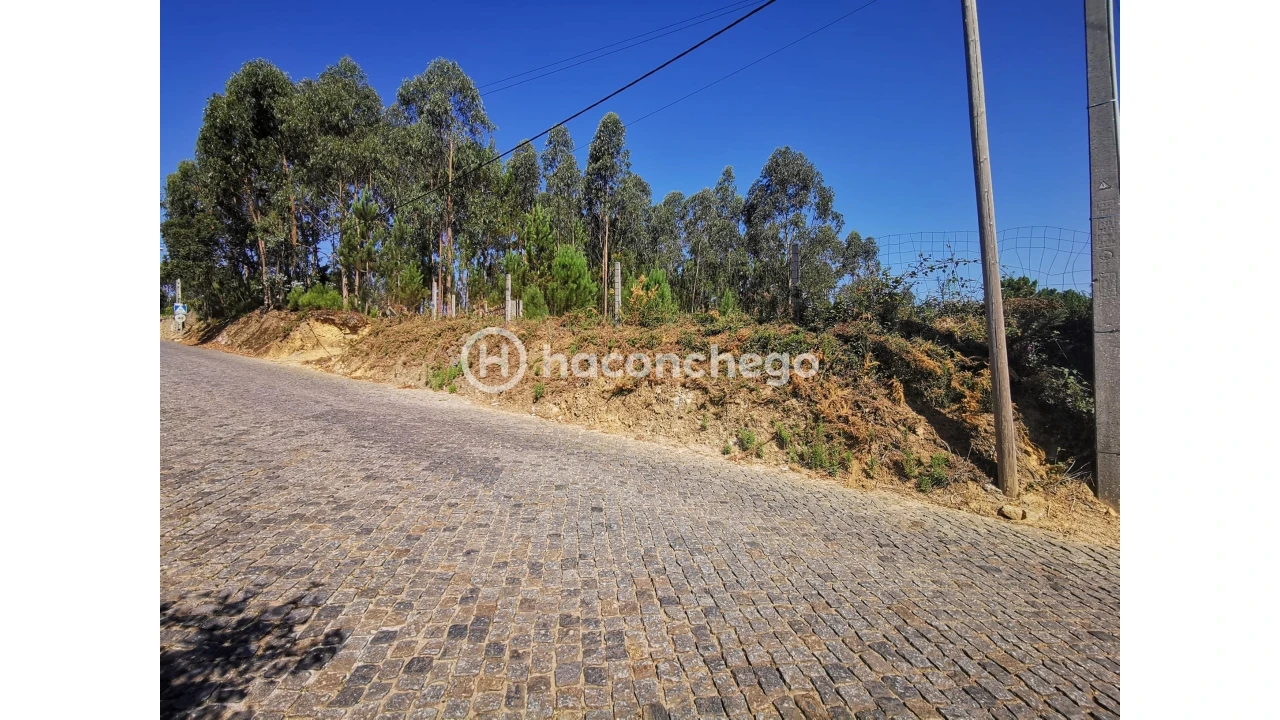 Terreno Agricola ou Rústico para Venda em Cristelo Foto 3