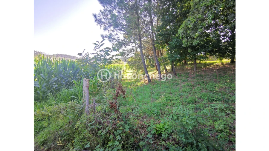 Terreno Agricola ou Rústico para Venda em Cristelo Foto 9