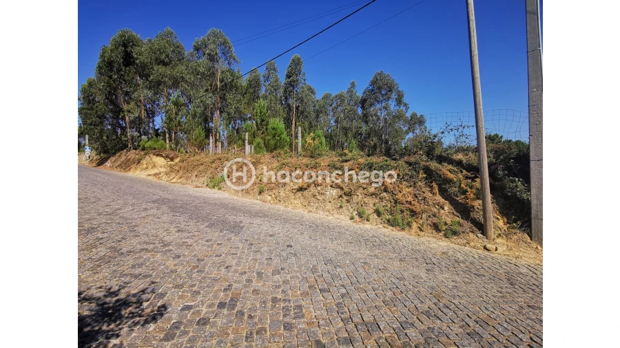 Terreno Agricola ou Rústico para Venda em Cristelo Foto 2