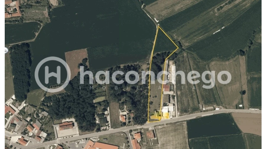 Terreno Agricola ou Rústico para Venda em Cristelo Foto 10