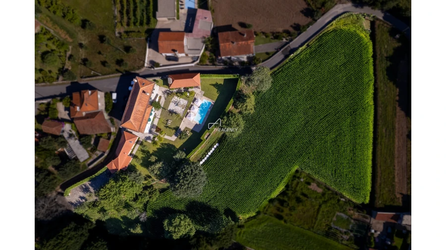 Quinta para Venda em Cossourado Foto 6