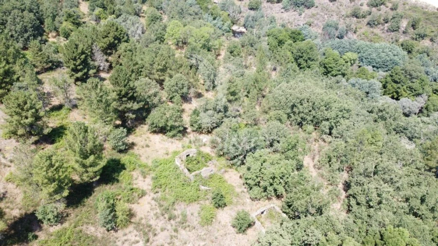 Quinta T2 para Venda em São Pedro e Santa Maria e Vila Boa do Mondego Foto 5