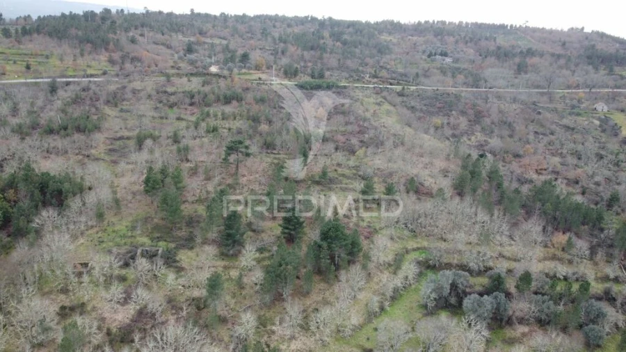 Quinta T2 para Venda em São Pedro e Santa Maria e Vila Boa do Mondego Foto 3
