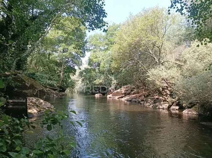 Quinta T2 para Venda em São Pedro e Santa Maria e Vila Boa do Mondego