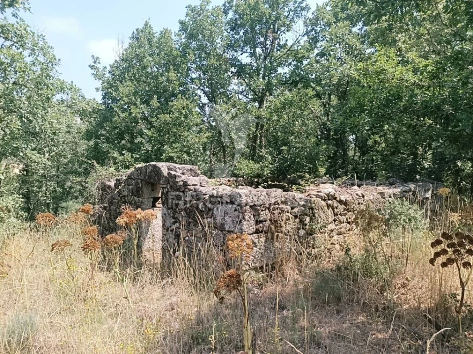 Quinta T2 para Venda em São Pedro e Santa Maria e Vila Boa do Mondego Foto 7