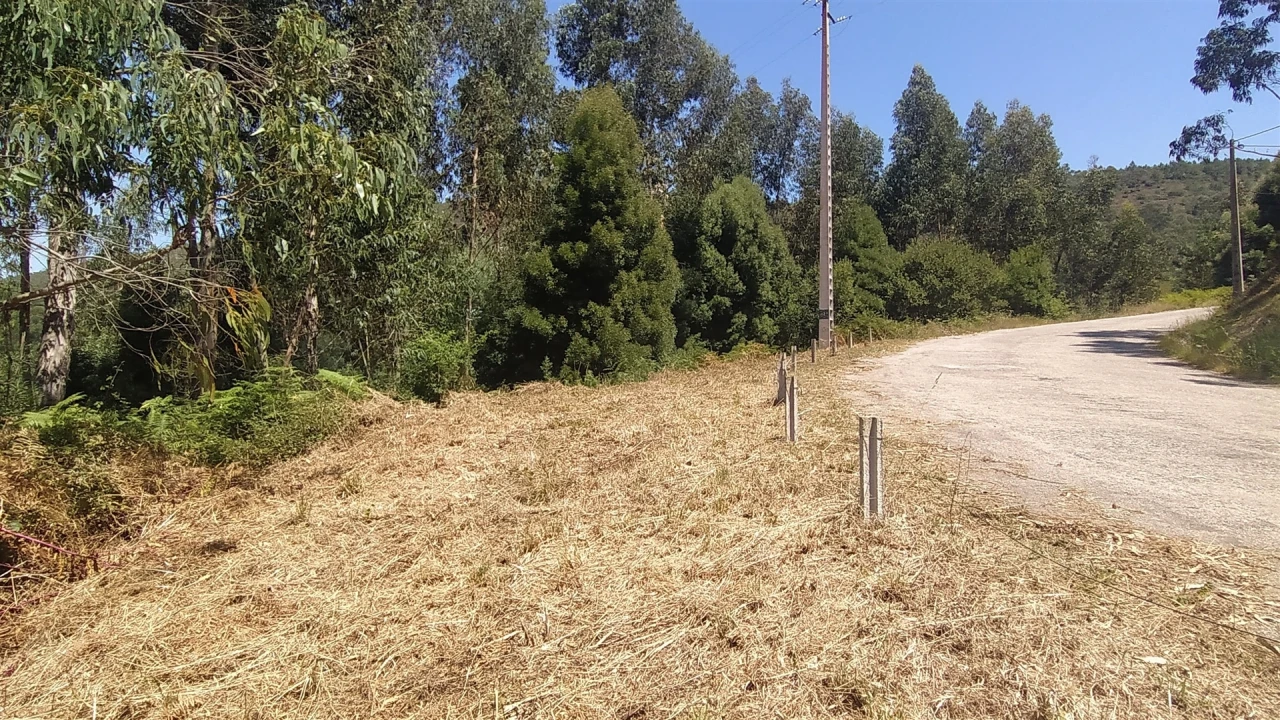 Terreno para Venda em Argela Foto 6