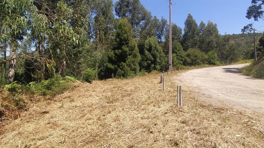 Terreno para Venda em Argela Foto 6
