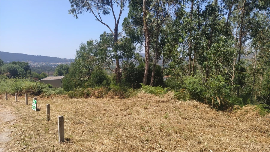 Terreno para Venda em Argela Foto 5