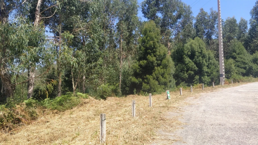 Terreno para Venda em Argela Foto 8
