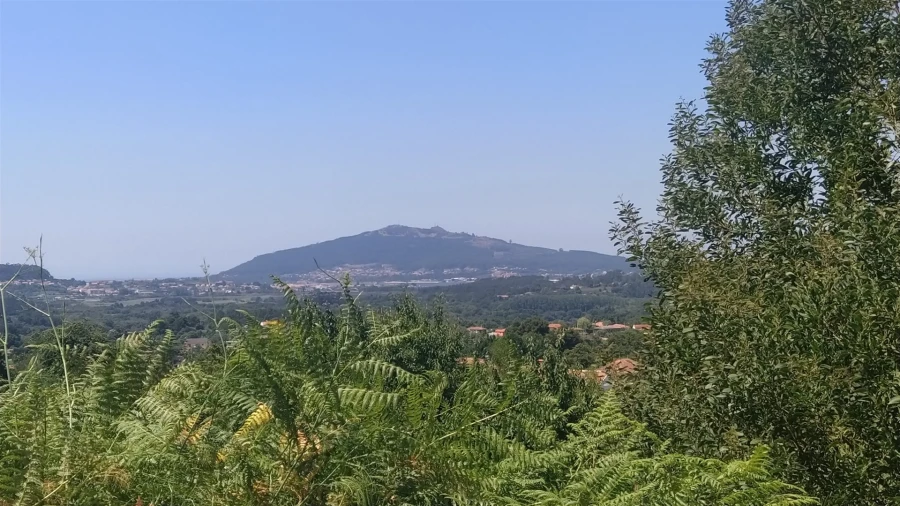 Terreno para Venda em Argela