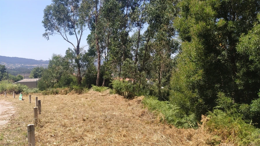 Terreno para Venda em Argela Foto 9