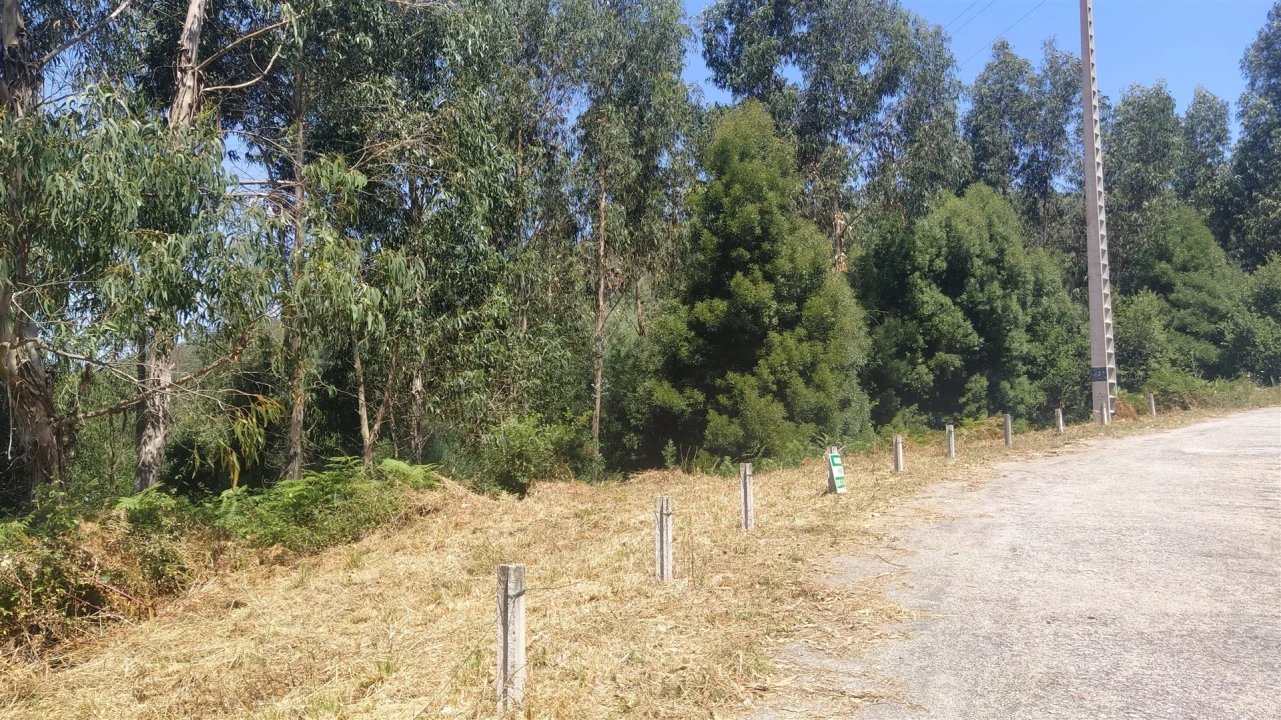 Terreno para Venda em Argela Foto 8