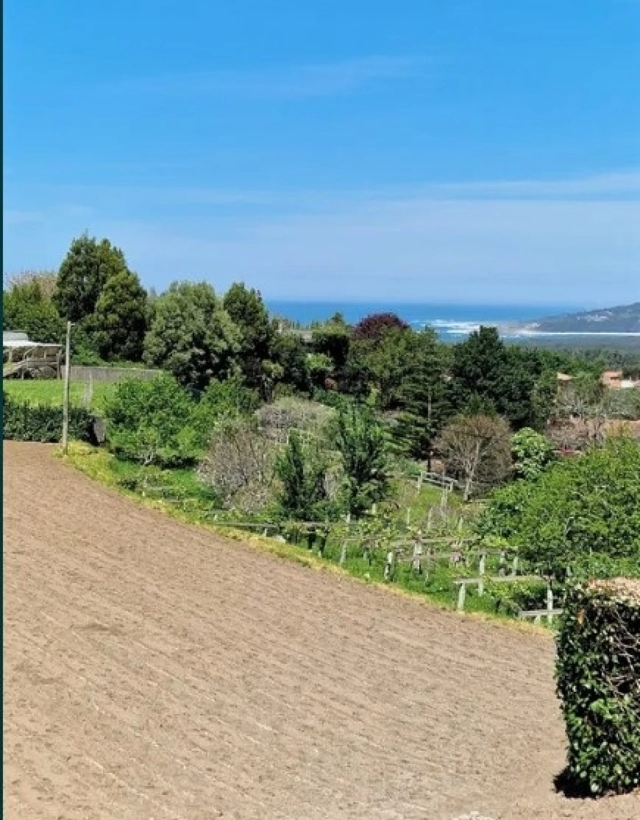 Terreno para Venda em Moledo e Cristelo Foto 7