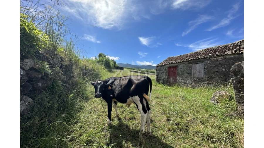 Terreno para Venda em Santo Antonio de Nordestinho Foto 10