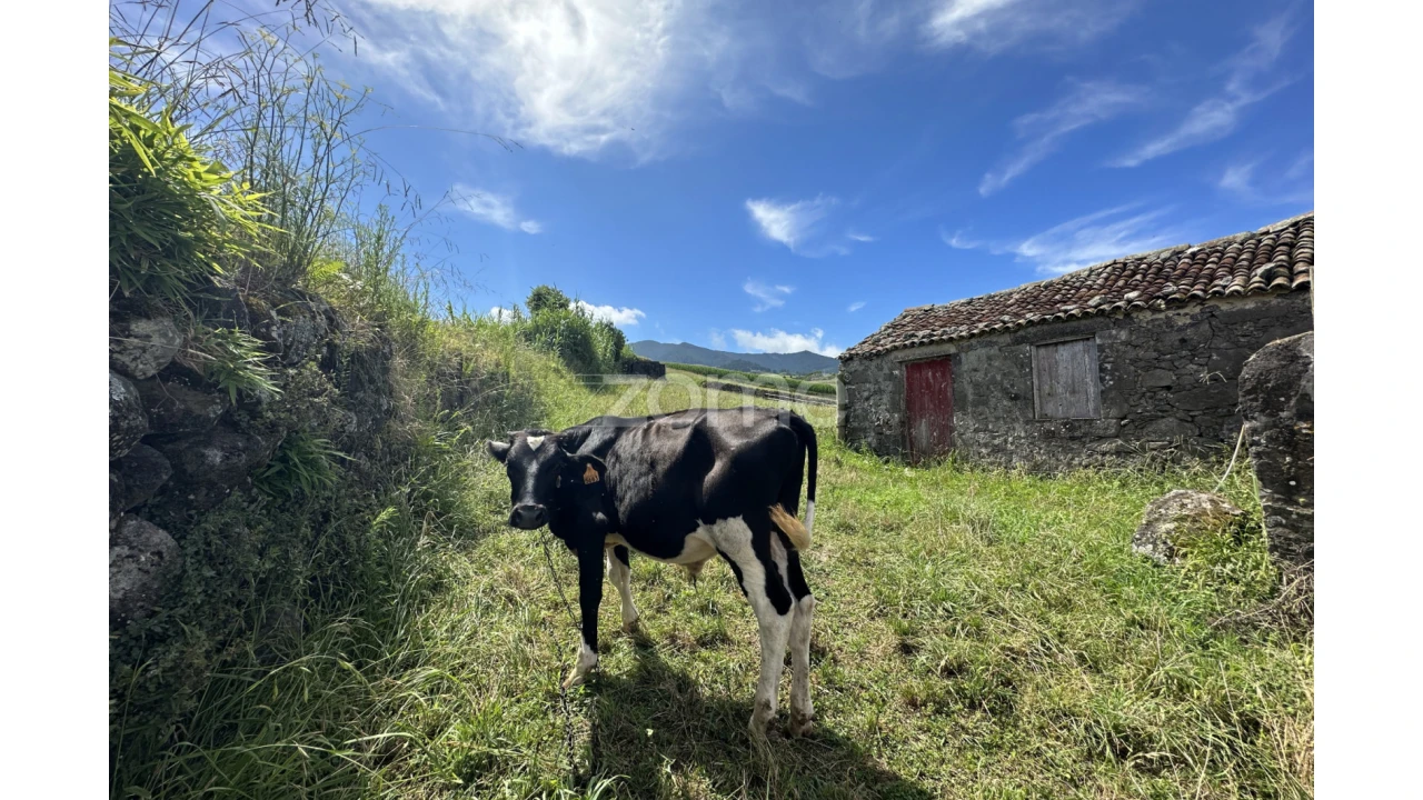 Terreno para Venda em Santo Antonio de Nordestinho Foto 10