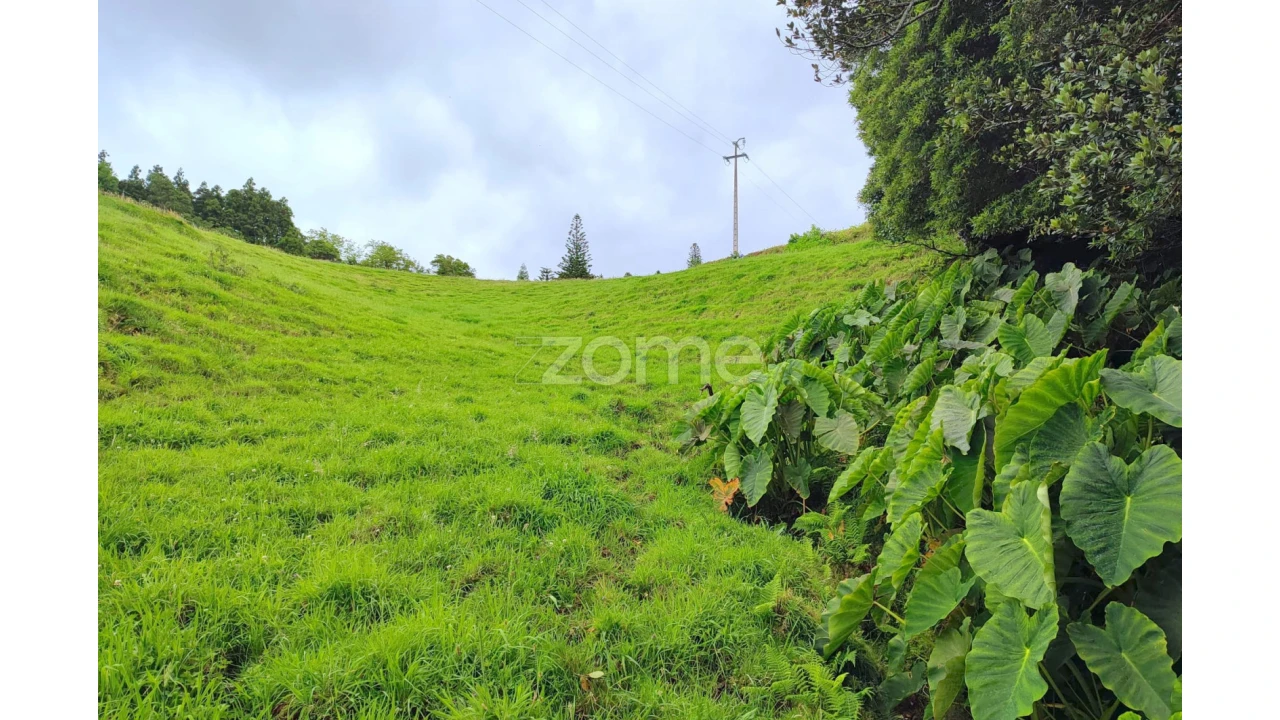 Terreno para Venda em Santo Antonio de Nordestinho Foto 14
