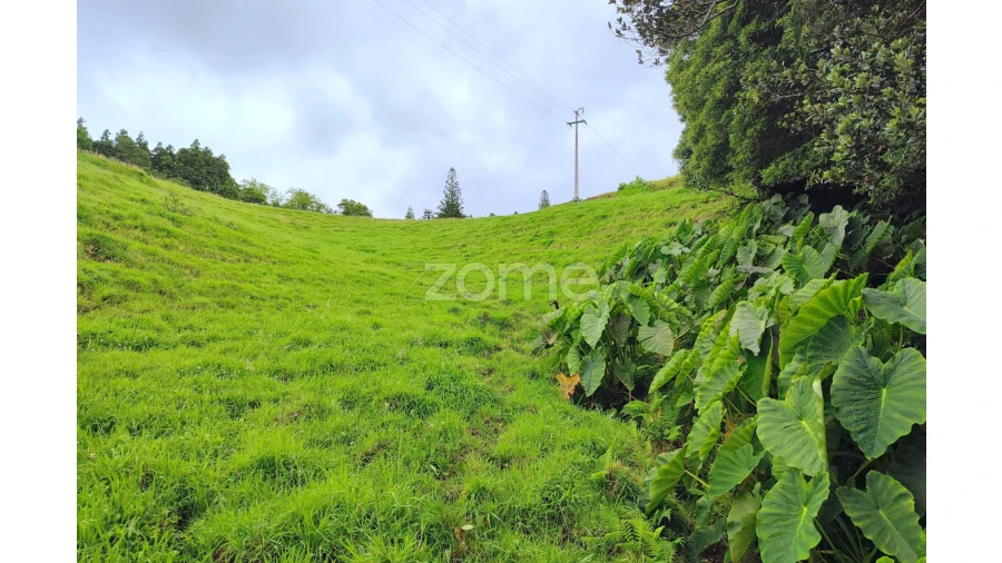 Terreno para Venda em Santo Antonio de Nordestinho Foto 14