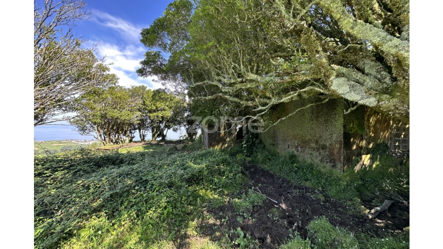 Terreno para Venda em Santo Antonio de Nordestinho Foto 4