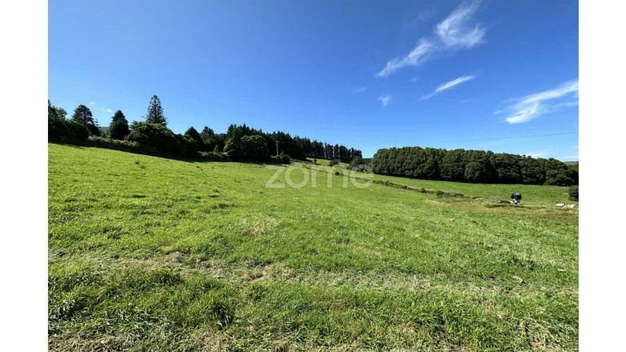 Terreno para Venda em Santo Antonio de Nordestinho Foto 6