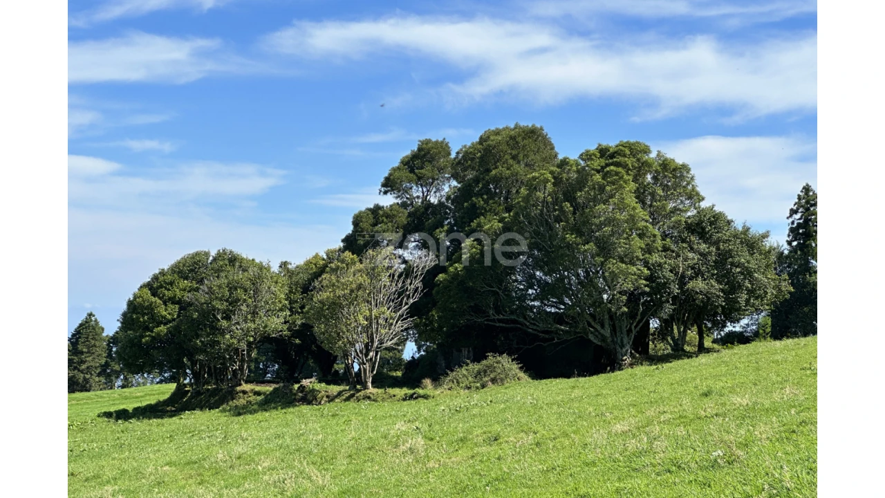 Terreno para Venda em Santo Antonio de Nordestinho Foto 2