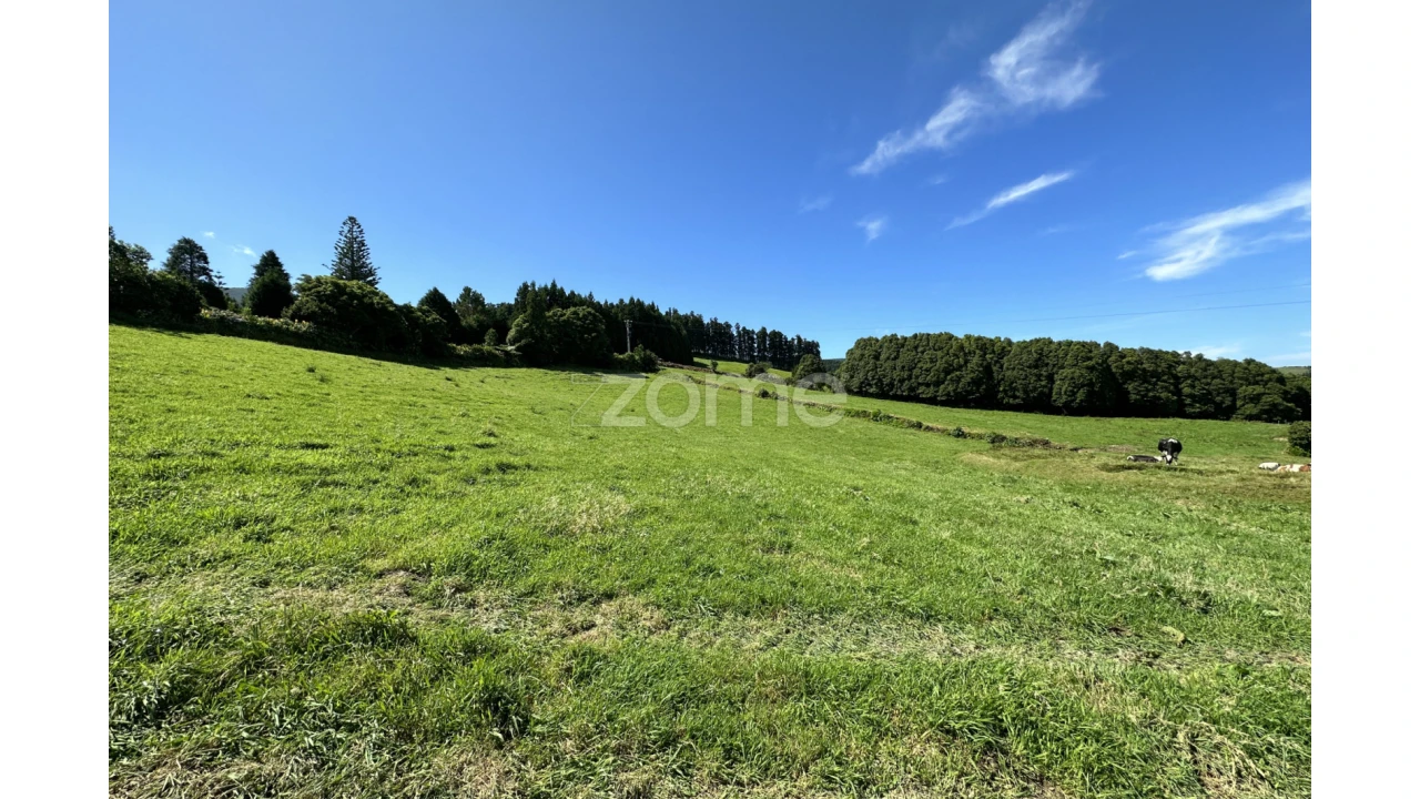 Terreno para Venda em Santo Antonio de Nordestinho Foto 6
