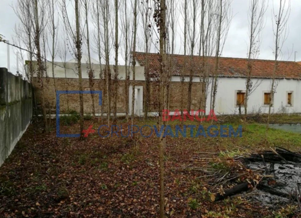 Moradia T6 para Venda em Santa Margarida da Coutada Foto 7