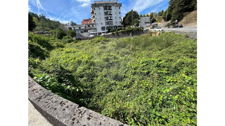 Terreno para Venda em Rebordosa Foto 8