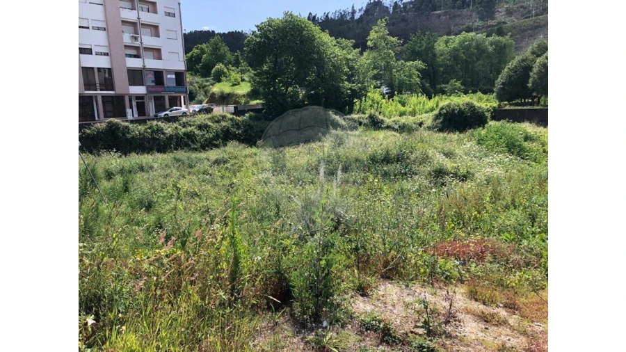 Terreno para Venda em Rebordosa Foto 2