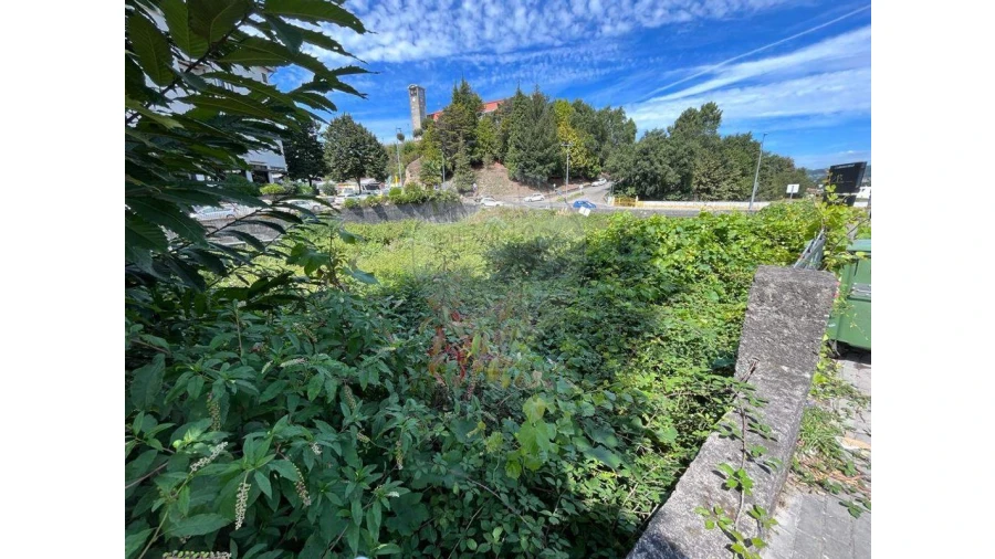 Terreno para Venda em Rebordosa Foto 9